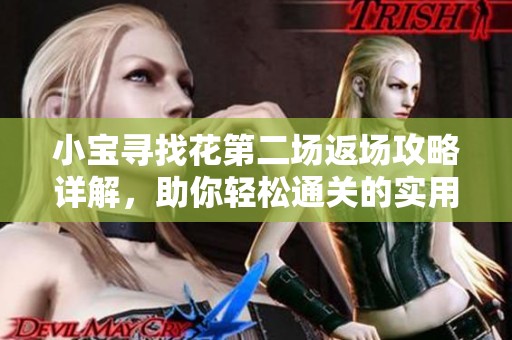 小宝寻找花第二场返场攻略详解，助你轻松通关的实用技巧