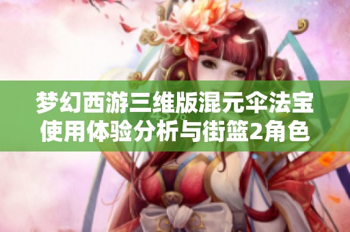 梦幻西游三维版混元伞法宝使用体验分析与街篮2角色对比解析