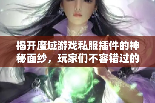 揭开魔域游戏私服插件的神秘面纱，玩家们不容错过的内幕揭秘！