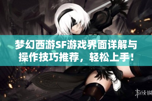 梦幻西游SF游戏界面详解与操作技巧推荐，轻松上手！