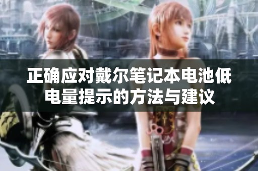 正确应对戴尔笔记本电池低电量提示的方法与建议