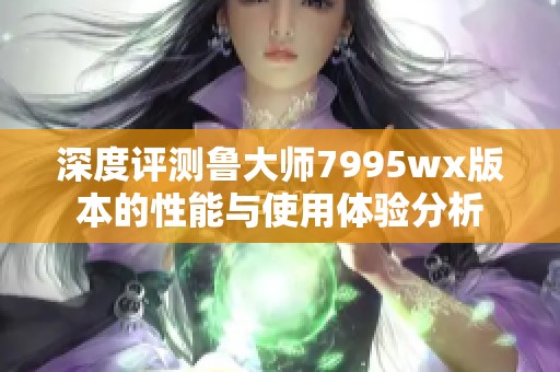 深度评测鲁大师7995wx版本的性能与使用体验分析