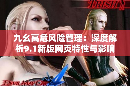 九幺高危风险管理：深度解析9.1新版网页特性与影响