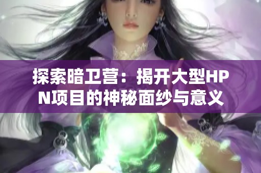 探索暗卫营：揭开大型HPN项目的神秘面纱与意义