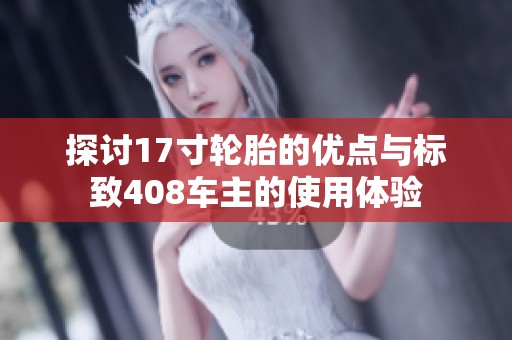 探讨17寸轮胎的优点与标致408车主的使用体验