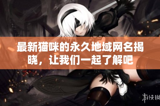 最新猫咪的永久地域网名揭晓，让我们一起了解吧