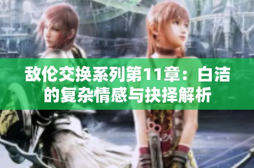 敌伦交换系列第11章：白洁的复杂情感与抉择解析