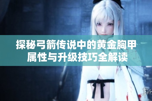 探秘弓箭传说中的黄金胸甲 属性与升级技巧全解读