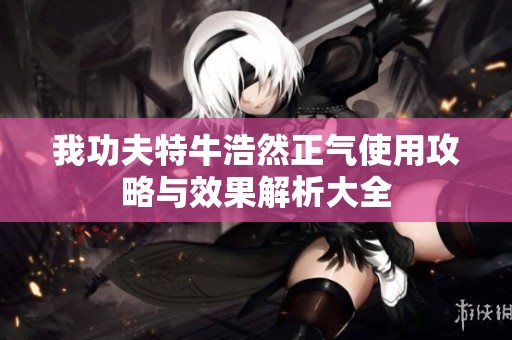我功夫特牛浩然正气使用攻略与效果解析大全