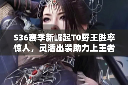 S36赛季新崛起T0野王胜率惊人，灵活出装助力上王者50星