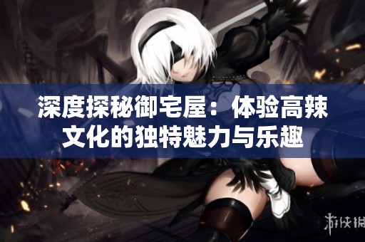 深度探秘御宅屋：体验高辣文化的独特魅力与乐趣