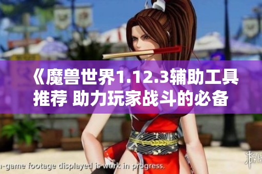 《魔兽世界1.12.3辅助工具推荐 助力玩家战斗的必备佳品》