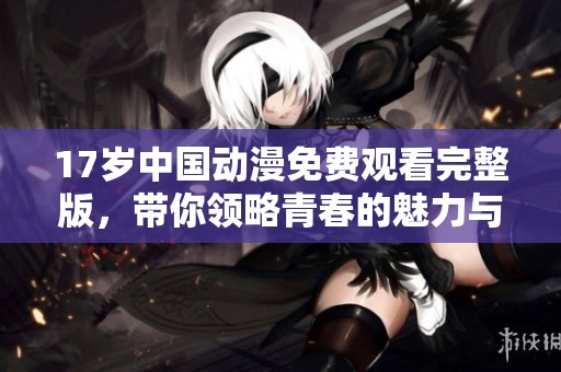 17岁中国动漫免费观看完整版，带你领略青春的魅力与梦想