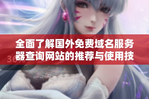 全面了解国外免费域名服务器查询网站的推荐与使用技巧