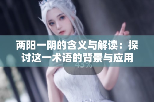 两阳一阴的含义与解读：探讨这一术语的背景与应用