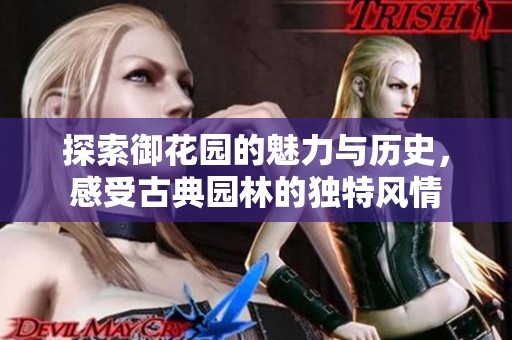 探索御花园的魅力与历史，感受古典园林的独特风情