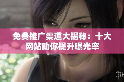 免费推广渠道大揭秘：十大网站助你提升曝光率