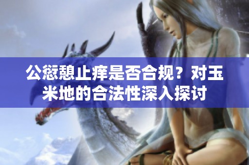 公愆憩止痒是否合规？对玉米地的合法性深入探讨
