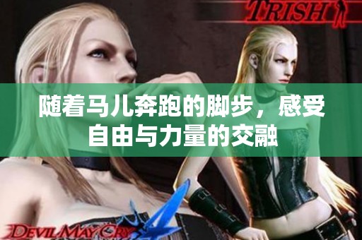 随着马儿奔跑的脚步，感受自由与力量的交融