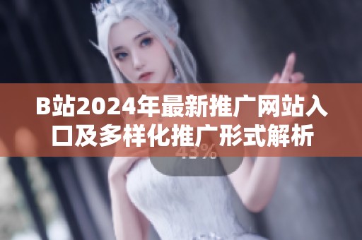 B站2024年最新推广网站入口及多样化推广形式解析