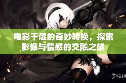 电影干湿的奇妙转换，探索影像与情感的交融之旅