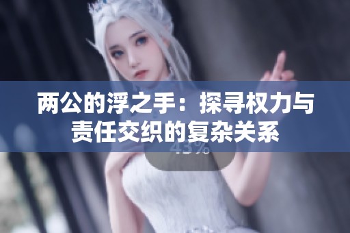 两公的浮之手：探寻权力与责任交织的复杂关系