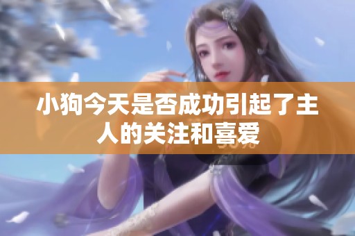 小狗今天是否成功引起了主人的关注和喜爱