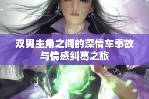 双男主角之间的深情车事故与情感纠葛之旅