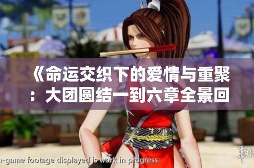 《命运交织下的爱情与重聚：大团圆结一到六章全景回顾》