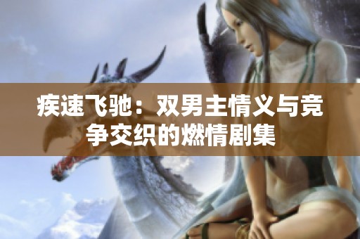 疾速飞驰：双男主情义与竞争交织的燃情剧集