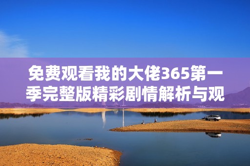免费观看我的大佬365第一季完整版精彩剧情解析与观后感