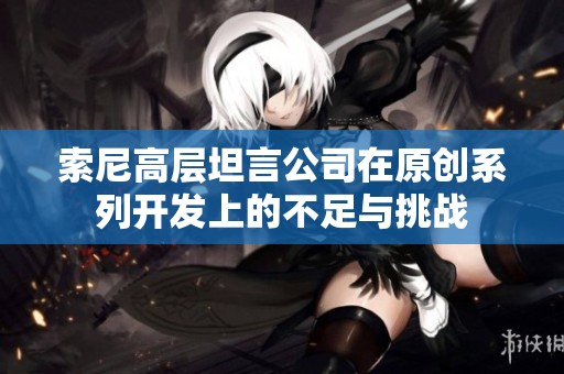 索尼高层坦言公司在原创系列开发上的不足与挑战