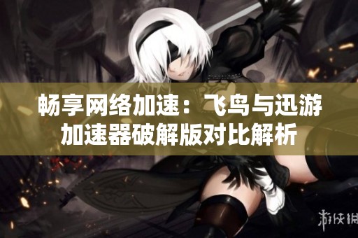 畅享网络加速：飞鸟与迅游加速器破解版对比解析