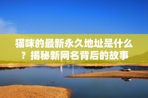猫咪的最新永久地址是什么？揭秘新网名背后的故事