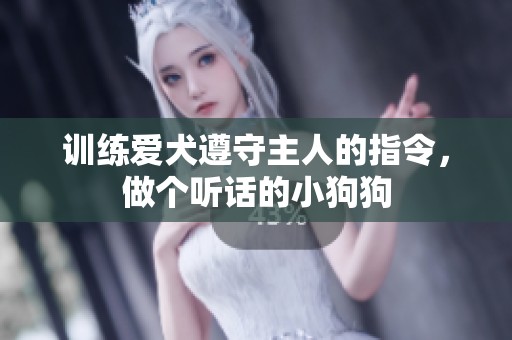 训练爱犬遵守主人的指令，做个听话的小狗狗