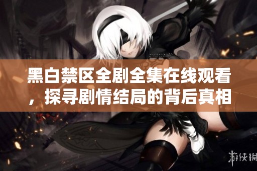 黑白禁区全剧全集在线观看，探寻剧情结局的背后真相