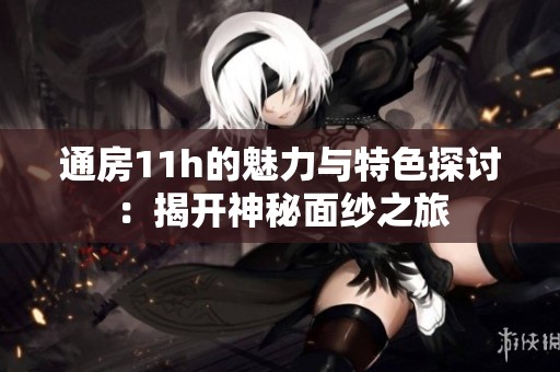 通房11h的魅力与特色探讨：揭开神秘面纱之旅
