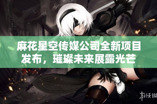 麻花星空传媒公司全新项目发布，璀璨未来展露光芒