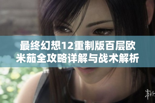 最终幻想12重制版百层欧米茄全攻略详解与战术解析