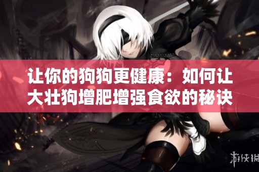 让你的狗狗更健康：如何让大壮狗增肥增强食欲的秘诀