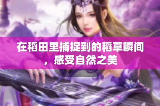 在稻田里捕捉到的稻草瞬间，感受自然之美