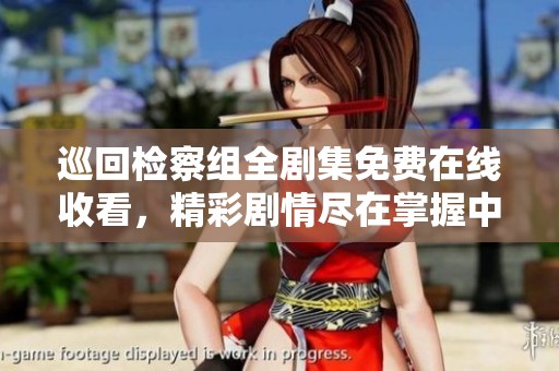巡回检察组全剧集免费在线收看，精彩剧情尽在掌握中